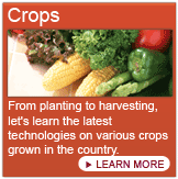From planting to harvesting, let's learn the latest technologies on various crops grown in the country. 