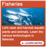Let's raise and harvest aquatic plants and animals. Learn the various technologies in fisheries.